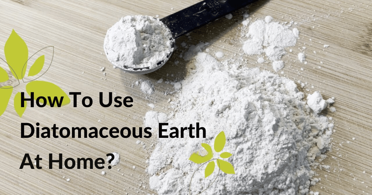 How To Use Diatomaceous Earth At Home?