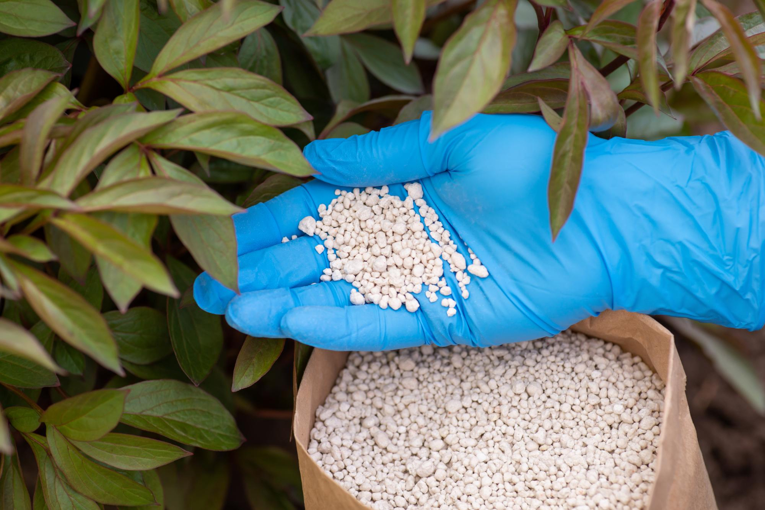 Powerful Horticulture Perlite: The Unsung Hero for Growth
